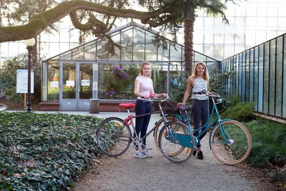 LIIX > Pouet pouet de vélo