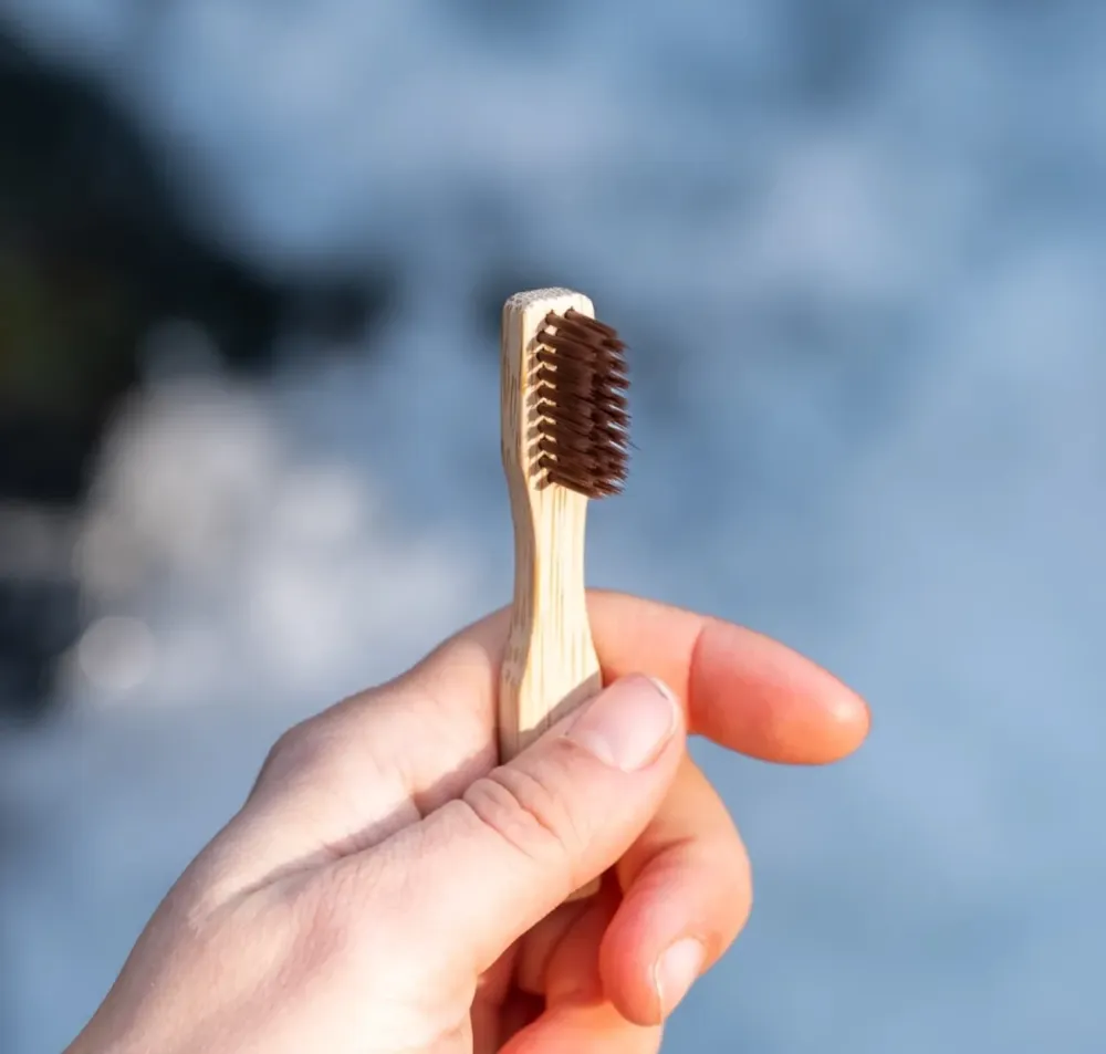 PAOS > BROSSE A DENT DE VOYAGE