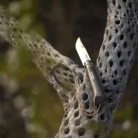 734